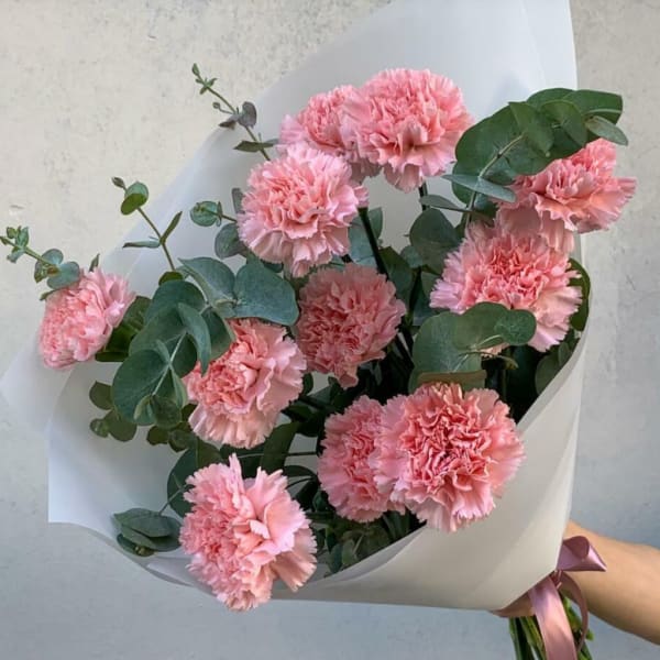 Bouquet of pink carnations with eucalyptus in white wrap