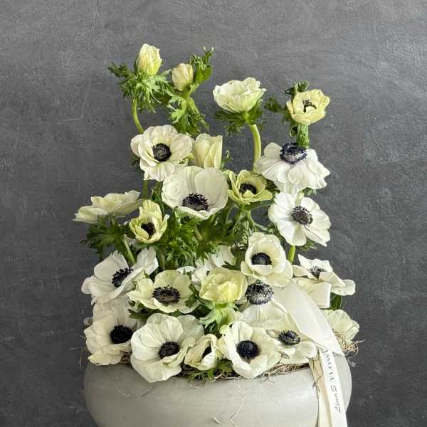 White anemone arrangement in a round gray container with a ribbon