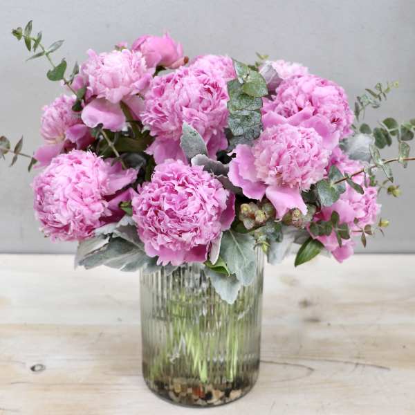 Peony Glow - Glendale Flowers