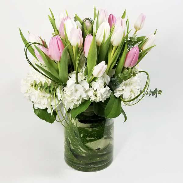 Pink and white tulips arranged in a glass vase with white hydrangeas