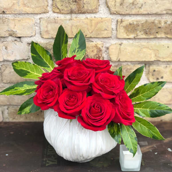 Red roses arranged in a white pumpkin-shaped vase with variegated leaves
