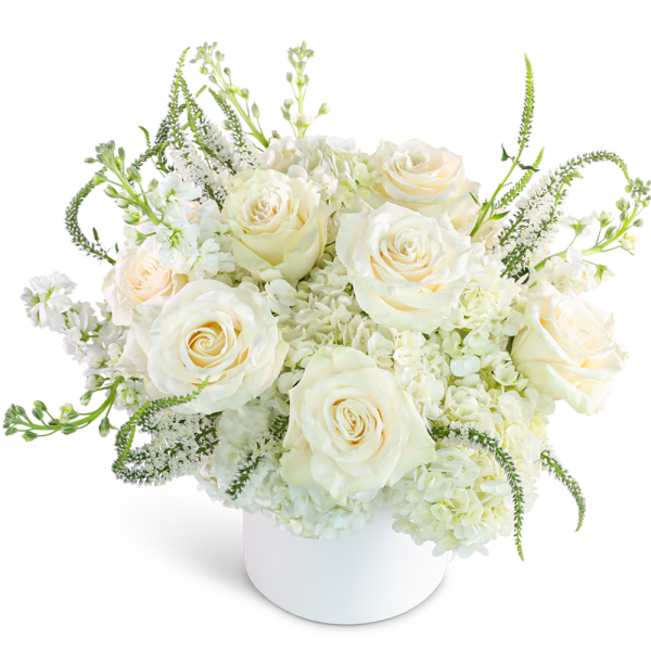White roses and hydrangeas in a white vase