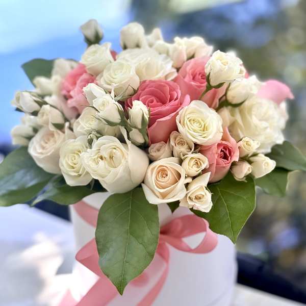 Livia Rose Box