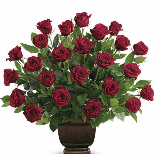 Red roses arranged in a dark pedestal vase