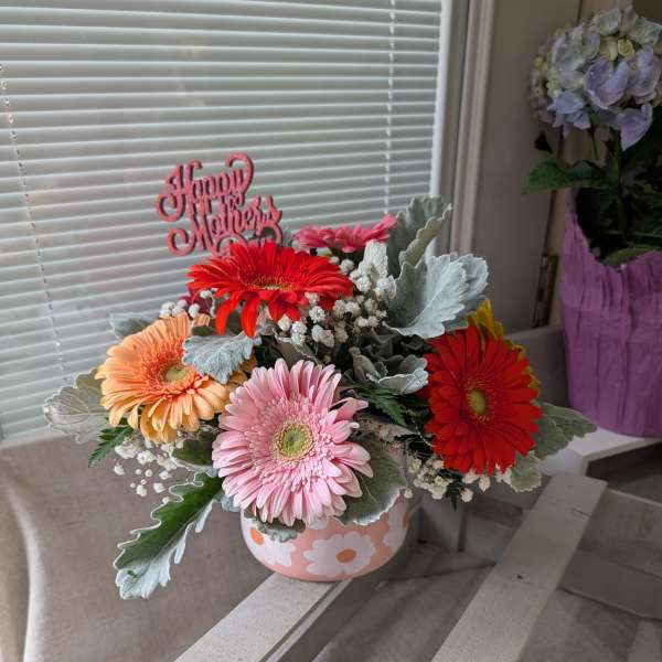 Mothers Day Gerbera Special