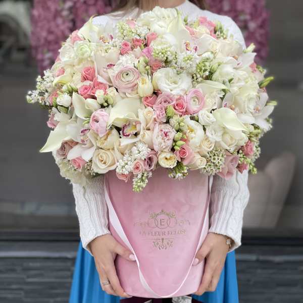 Pure Beauty MD