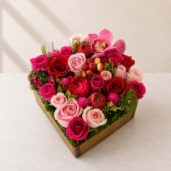 Emotions