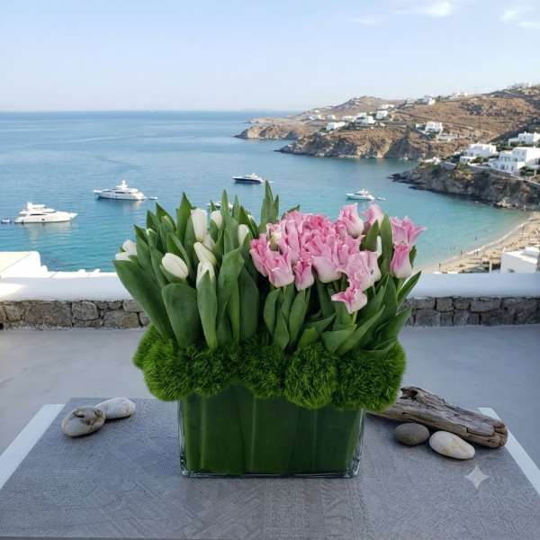 Pink and white tulips arranged in a glass vase with green moss accents