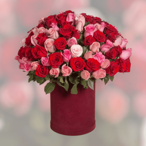 My Queen
