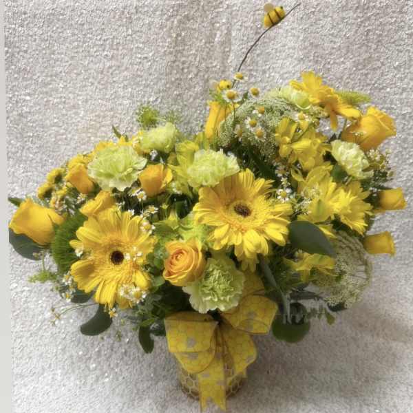 Yellow Queen Bee