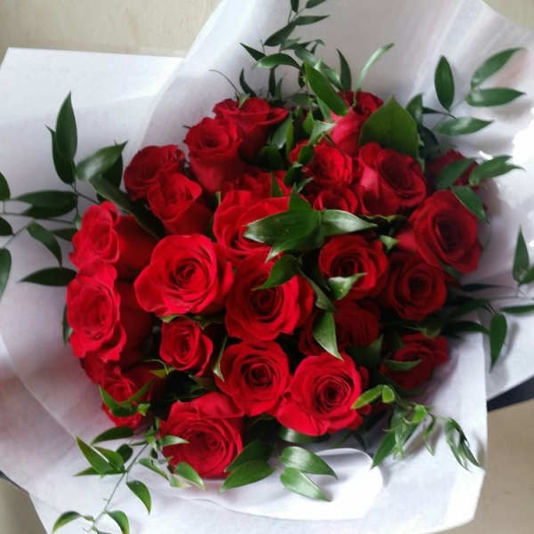 Bouquet of red roses wrapped in white paper with green foliage
