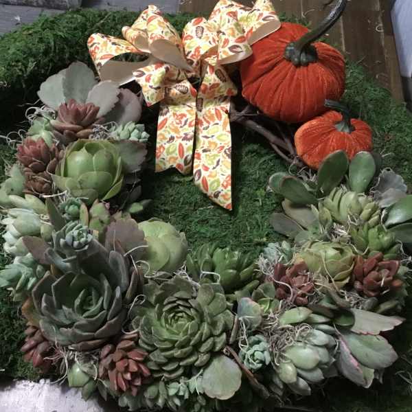 Succulent wreath with two orange pumpkins and a patterned bow