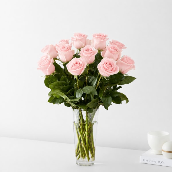 18 Light Pink Roses