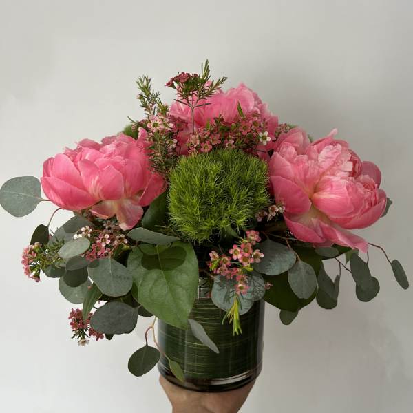 Summer Peony
