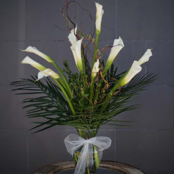 Tall arrangement of white calla lilies in a glass vase with a white bow