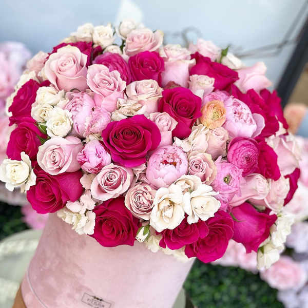 She a vibe