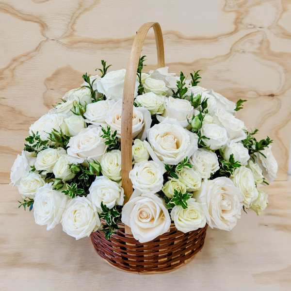 Classic White