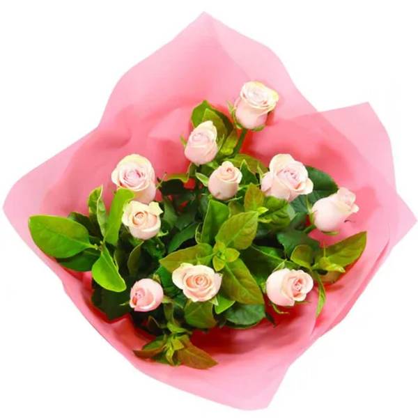 Bouquet of pale pink roses wrapped in pink paper