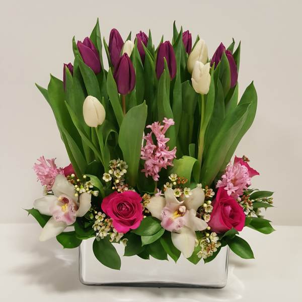 Make a Wish