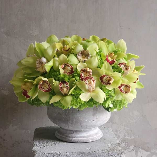 Modern Victorian