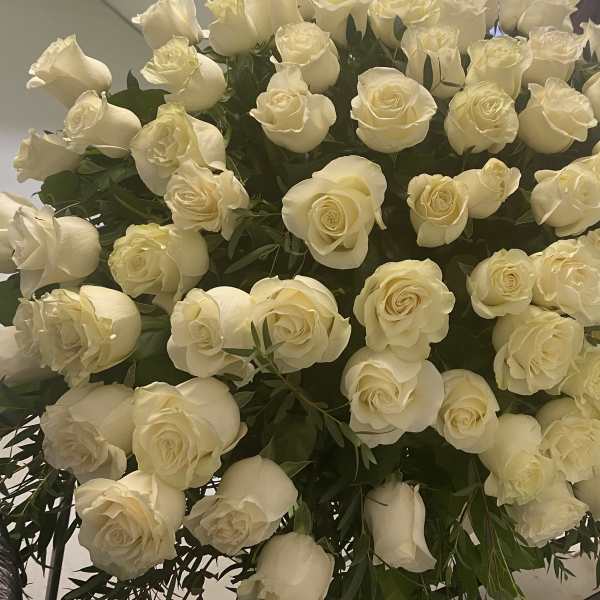 Large bouquet of white roses with dark green foliage