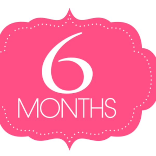 Pink badge with the text "6 MONTHS"