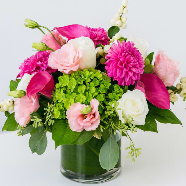 Blush & Fuchsia Harmony