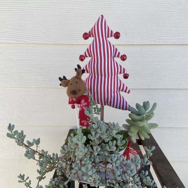 Succulent planter with a striped tree topper and small reindeer decoration