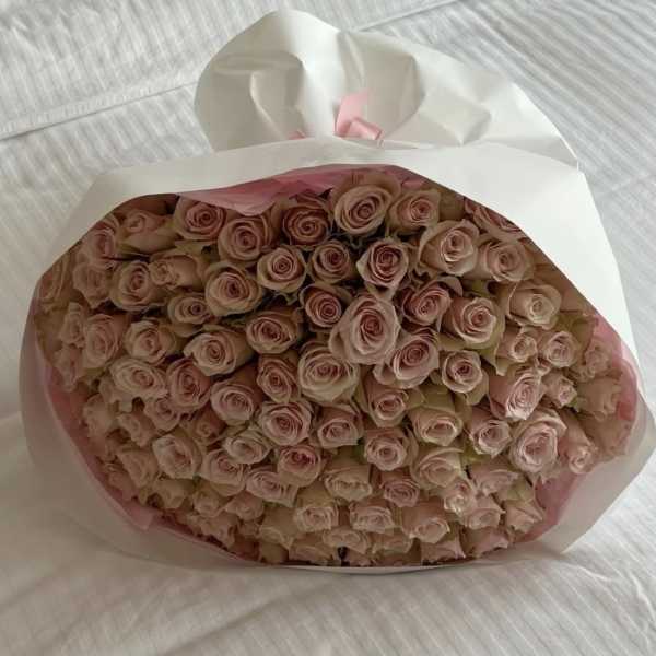 Large bouquet of pale pink roses wrapped in white paper