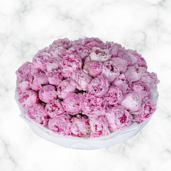 Large bouquet of pink peonies wrapped in white paper