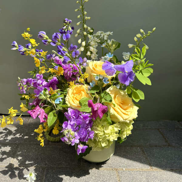 Reef