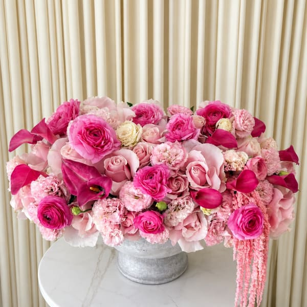 Pink Muse