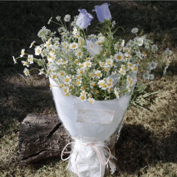 Cup of Sunshine – Daisy & Bellflower Bouquet