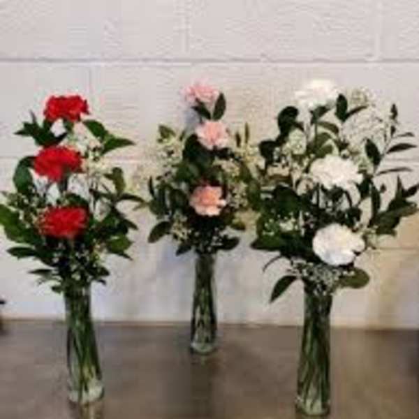 3 Carnation Budvase