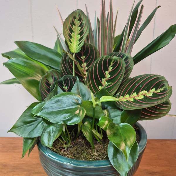10" Ceramic Dish Garden