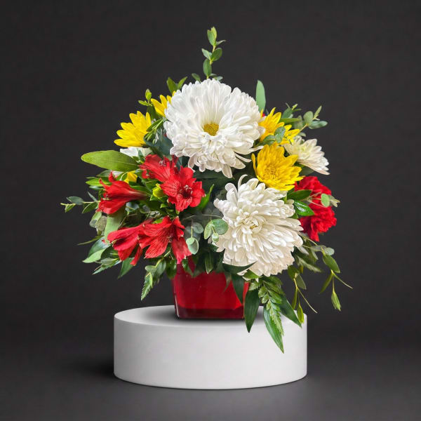 Red, white, and yellow chrysanthemum arrangement in a red vase