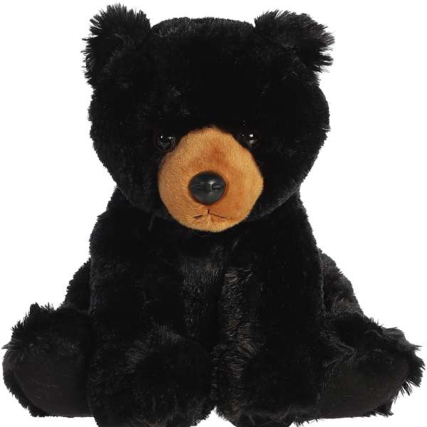 Black Bear