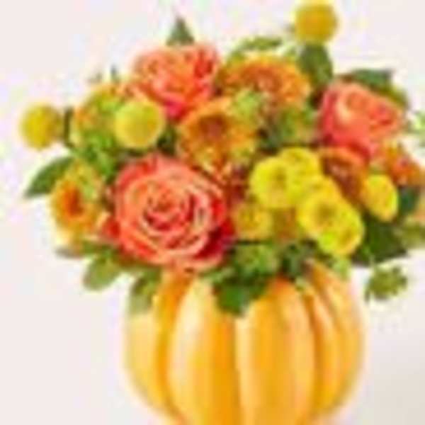 Gourdgeous Pumpkin