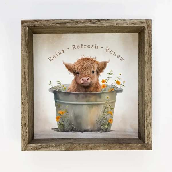 Highland Calf in Metal Tub