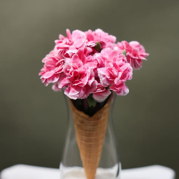 Pink carnations in a cone-shaped holder inside a glass vase