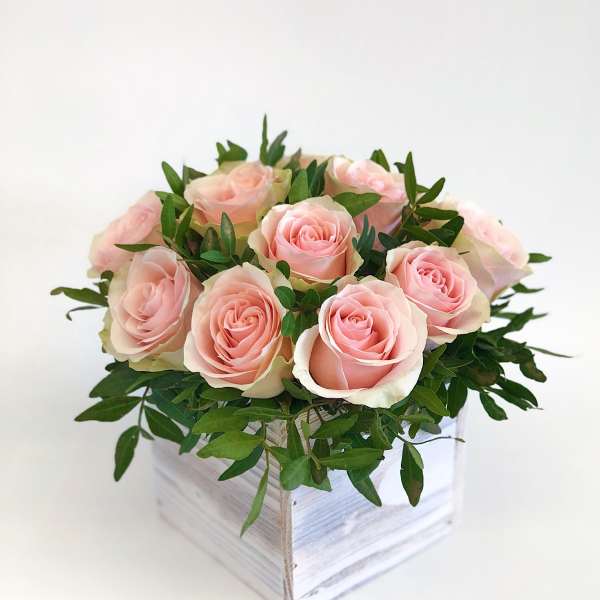 Pink roses arranged in a white wooden box with greenery