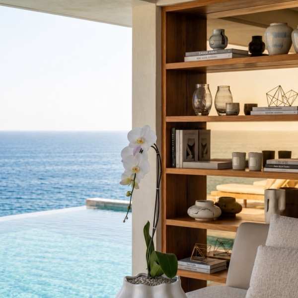 White orchid in a white ceramic pot on a side table by the sea.