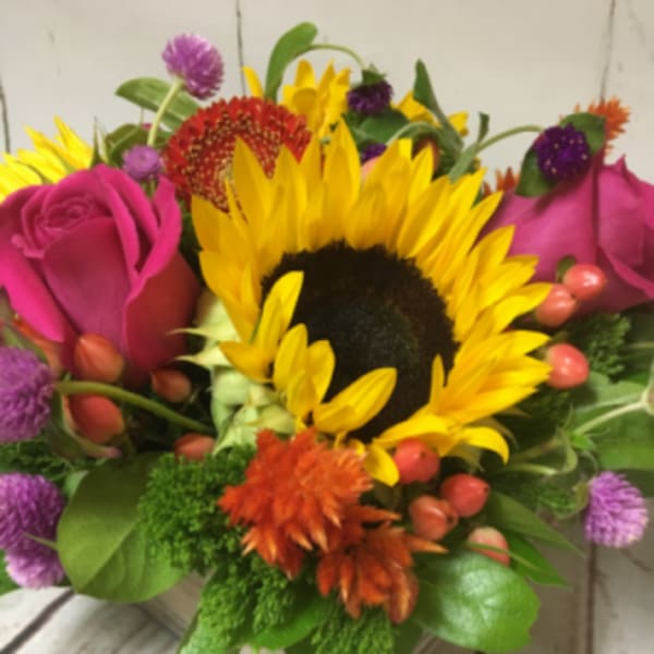 Low wood box arrangement with a sunflower, pink roses, and bright mixed flowers.