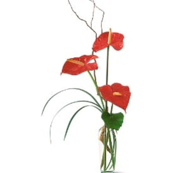 Tall arrangement of red anthuriums in a clear glass vase
