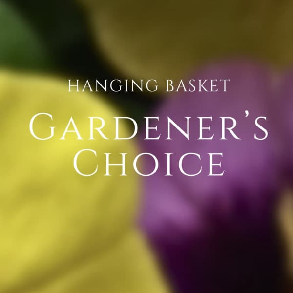 Gardener's Choice Hanging Basket GC-S005