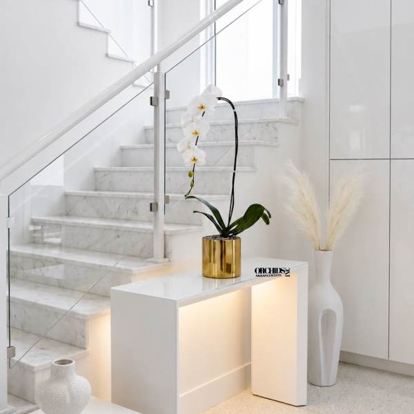 White Phalaenopsis Orchid Arrangement – Single Stem Minimal Luxury