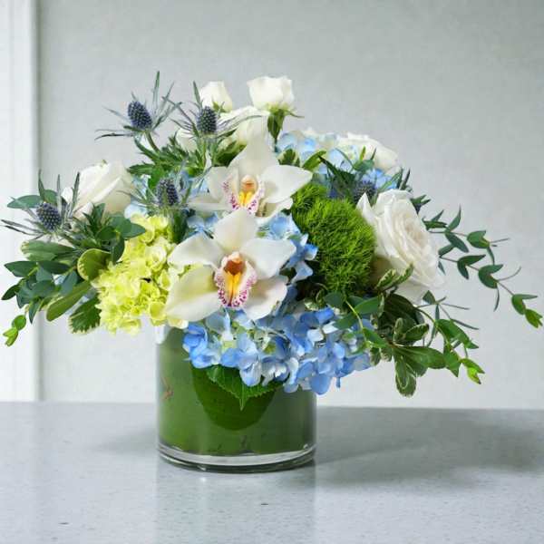 Hydrangea Bliss