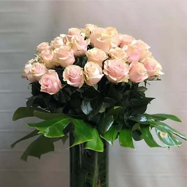 Pink roses arranged in a tall glass vase with broad green leaves