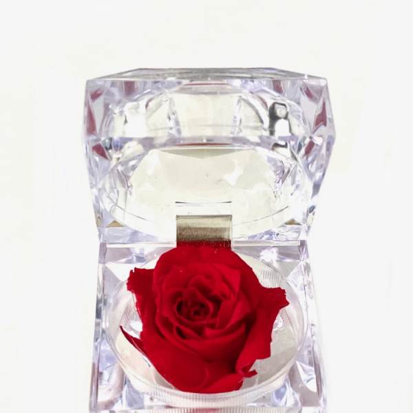 Single red rose in a clear faceted acrylic holder