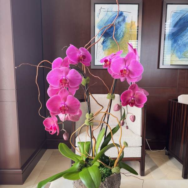 Pink orchids arranged in a decorative planter with twisting branches.